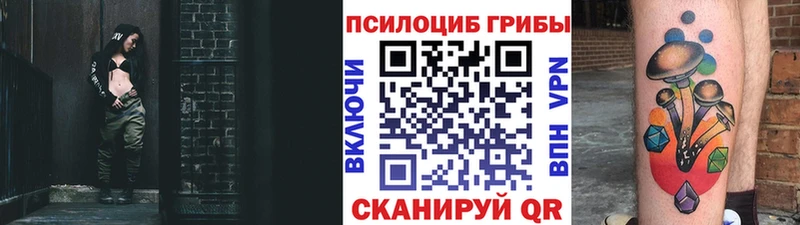 как найти закладки  Плавск  Псилоцибиновые грибы Magic Shrooms 